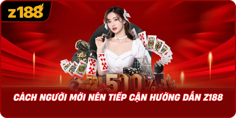Cách Người Mới Nên Tiếp Cận Hướng Dẫn Z188